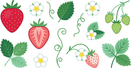 Strawberry vector icon set featuring cartoon red berry slice green unripened fruits white blossoms leaves and vine tendrils. © Rukhsana