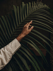 Obraz premium Hand reaching for a palm leaf indoors