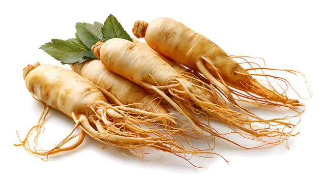 Ginseng root. Ginseng, the energy root. Four whole ginseng roots.