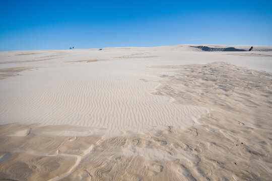 R&aring;bjerg Mile migrating coastal dune between Skagen and Frederikshavn, Denmark