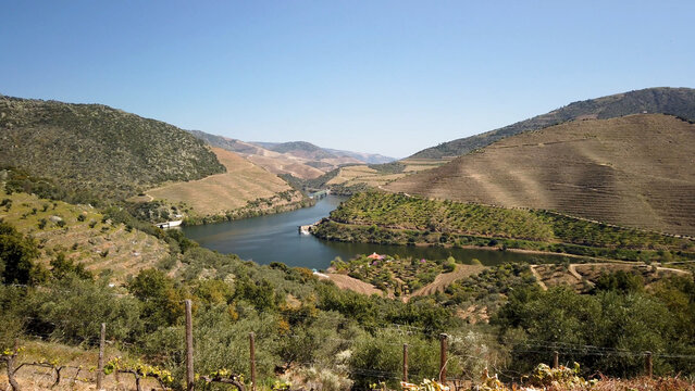 Aerial view of the Douro River winding through the terraced vineyards near Sao Xisto in Portugal