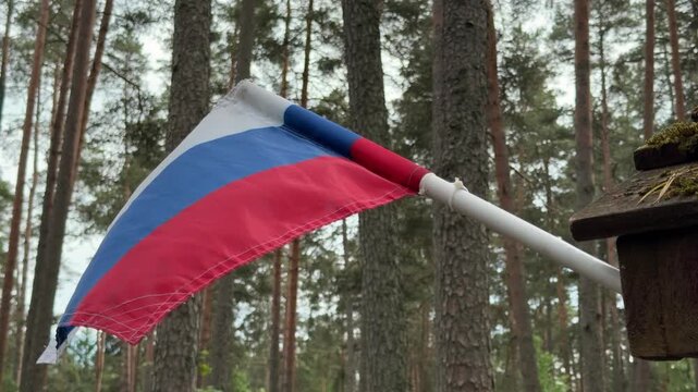 Russian national flag waving on a flagpole in a pine forest context. Close-up of the red, blue, and white tricolor flag attached to a rustic wooden structure among tall trees.