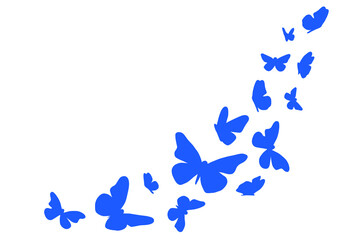 Fototapeta premium Elegant blue butterfly frame, corner composition with copy space on a white background. freedom, transformation, beauty