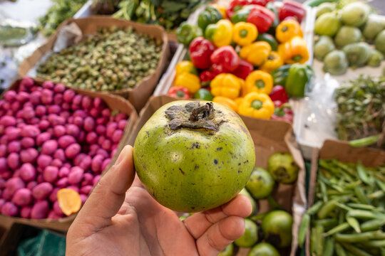 Hand holding a black sapote, Diospyros nigra, tauch or black persimmon, at a street market stall, with fruits and vegetables in the background. prieto,  mico y matasano, chocolate pudding fruit.