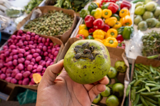 Hand holding a black sapote, Diospyros nigra, tauch or black persimmon, at a street market stall, with fruits and vegetables in the background. prieto,  mico y matasano, chocolate pudding fruit.