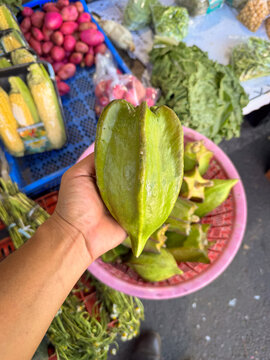 Regional fruit known as bonete, Jacaratia mexicana, also called kuilote, bishop hat, or orejona, shown fresh in its natural state on a rustic surface. kuilote, Coahuayote, bonete de obispo or orejona.