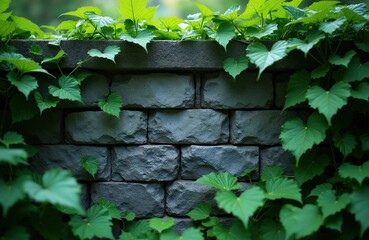Obraz premium Green leaves grow on stone wall. Plants climb over rough brick surface. Nature thrives on textured structure. Fresh foliage surrounds garden boundary.