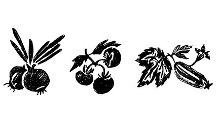 Set of hand-drawn vegetables. Black and white textured sketch of onions, tomatoes on a branch and cucumber isolated on white © Parakhat