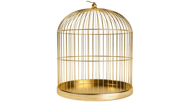 Elegant golden wire birdcage with domed roof, isolated on transparent background