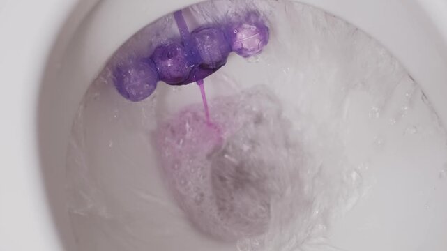 A white ceramic toilet bowl flushes water over a purple plastic rim block freshener creating foam. Concept of bathroom hygiene, household cleaning routines, and sanitary plumbing maintenance