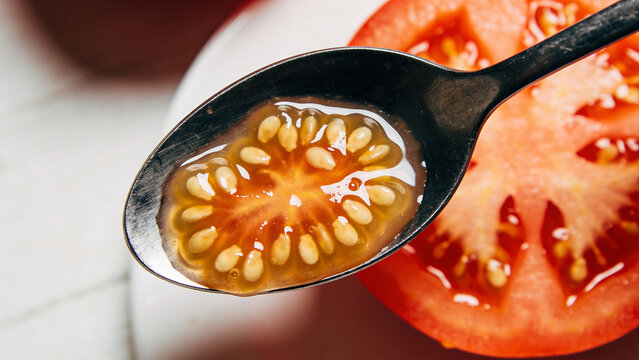 Closeup view of tomato seeds in spoon next to fresh tomato on table surface
