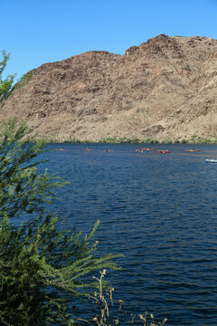 The bush and group of kayaks vertical - Colorado River, Arizona