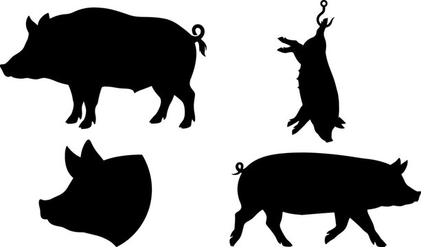 Pig and Wild Boar Silhouette Vector Set with Pork Meat Butcher Shop Hook Elements for Farming Agriculture and Food Logo Designs