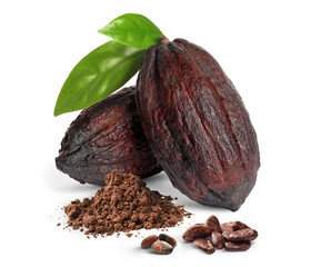 Obraz premium Cocoa pods, beans and powder isolated on white