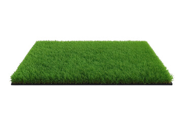 Obraz premium Green grass turf patch representing a fresh clean lawn or garden element, isolated with transparent background