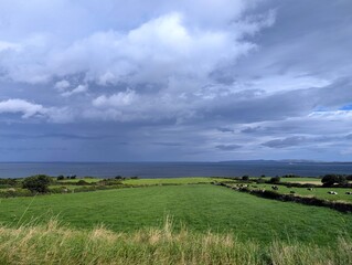 Panoramic view of lush green pastures with grazing cows overlooking the sea under a moody, cloudy sky on the Irish coast. © Christel