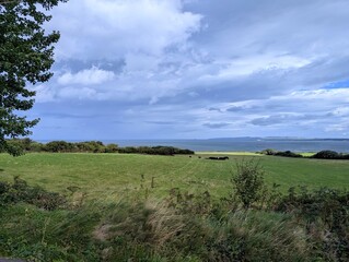 Fototapeta premium Scenic Irish coastal landscape with lush green farm fields, grazing cattle, and the ocean under a dramatic cloudy sky on the Dingle Peninsula.