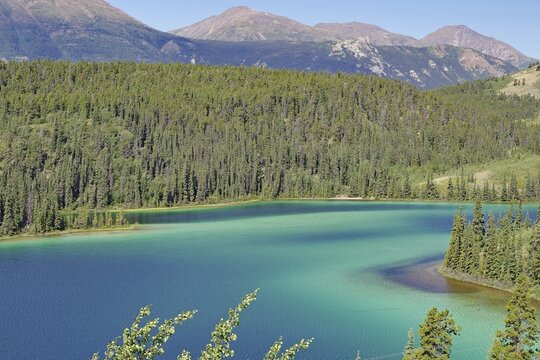 Transparent clear lake with green water colour, forest and mountains, Emerald Lake, Klondike Highway, Carcross, Yukon Territory, Canada