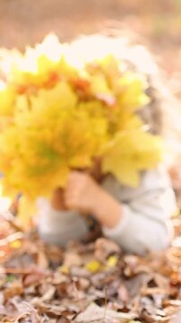 A happy child is playing hide-and-seek outside in an autumn park. A little girl is having fun outdoors. Vertical video, slow motion