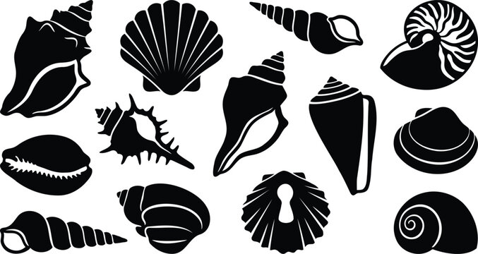Set of black seashell icons on a design collection