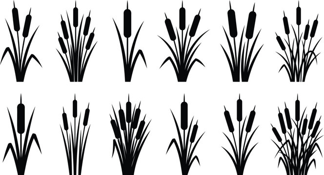 Black silhouette cattail reeds and marsh grass collection