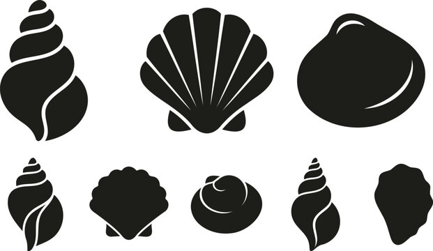 Set of black seashell icons on a plain background