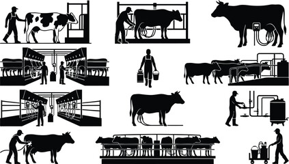 Dairy farm workers milking cows in barns © MARISH