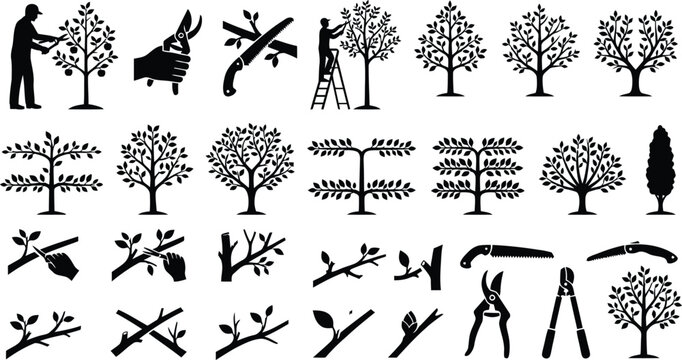 Tree pruning and cutting illustration collection