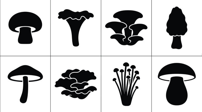 Black mushroom icons and silhouette vector set featuring edible varieties like portobello chanterelle oyster morel enoki and porcini