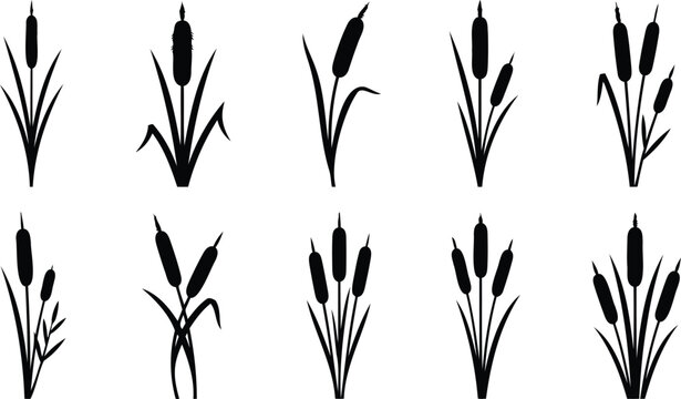 Black silhouette icons of cattail plants set