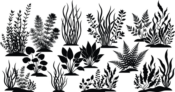 Set of black aquarium plant silhouettes for underwater design