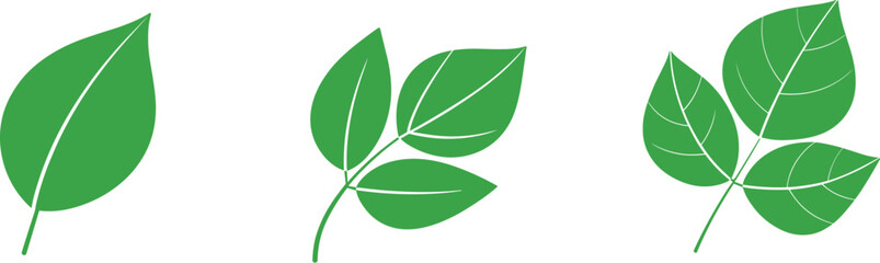 Green leaf vector illustration set featuring single, triple, and rounded foliage branch icons © Sourav Edits