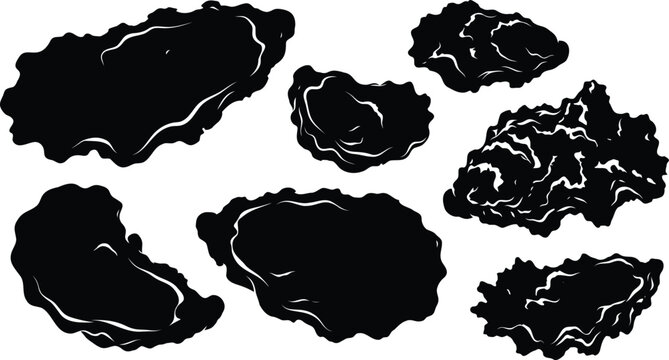 Set of black oyster shell silhouettes