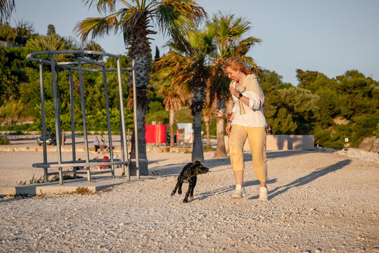 Woman walking black Labrador retriever on beach at sunset