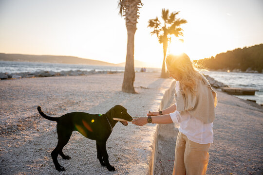 Woman playing with black Labrador retriever at sunset beach