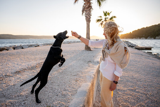 Woman playing with black Labrador retriever by sea at sunset