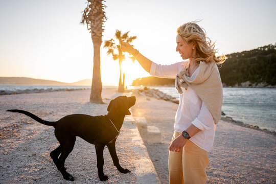 Woman training black Labrador retriever on beach at sunset