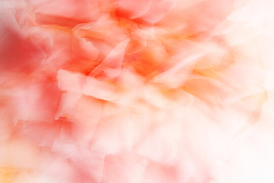 Ethereal abstract of floral hues with gentle motion blur