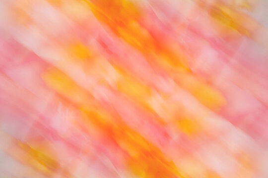 Abstract elegant florals with motion blur effect