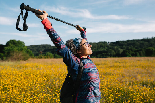 Woman hiker stretching with trekking pole in wildflower field