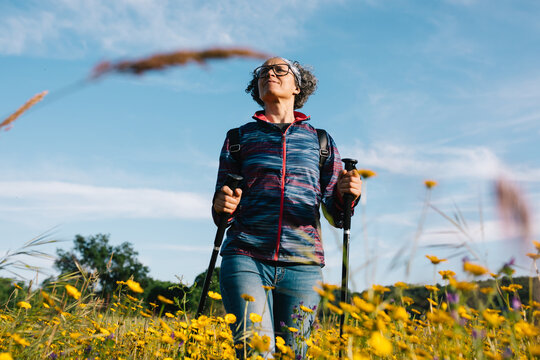 Woman hiking with trekking pole in wildflower meadow