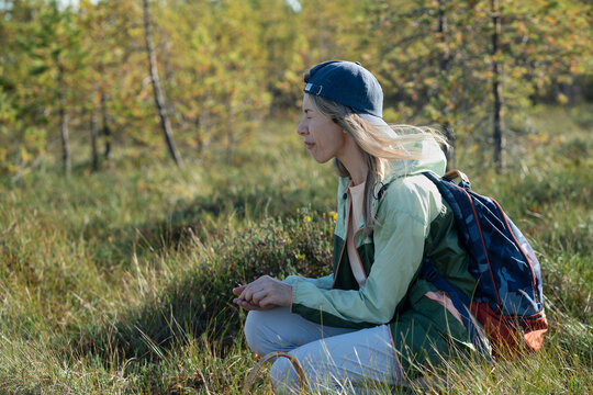 Woman forager sitting at swamp meadow tasting and eating harvested sour wild berries in autumn woodlands, female finder backpacker collects cranberries at bog, sustainable living and self-sufficiency.