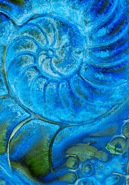Blue ammonite fossil texture in abstract close up