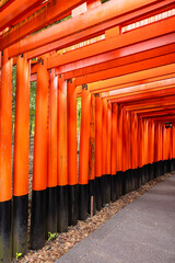 Fototapeta premium Fushimi Inari Taisha Torii Path. Repeated red columns and stone steps surrounded by dense greenery in iconic Shinto shrine complex Kyoto, Japan