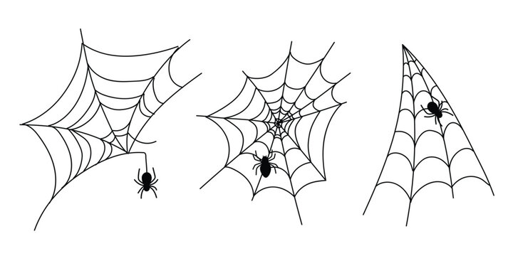 Hand Drawn Spider Web Set with Spiders. Halloween Cobweb Decorative Elements Isolated on White Background. Vector Collection