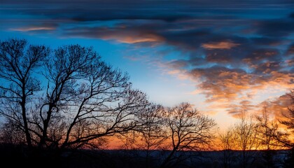 Fototapeta premium Panorama Of Tree Branches And Leaves In BluOrange Panorama Of Soft Clouds At SunriseDark Wooden Background Black Old Wood Texture