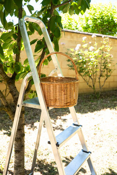 Step ladder with wicker basket in sunny home garden