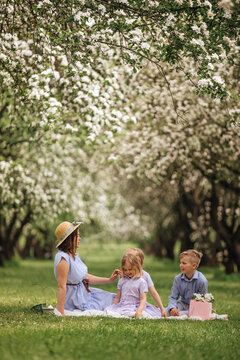 Happy family picnic under blooming spring orchard trees