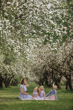 Happy family picnic beneath blooming spring orchard trees