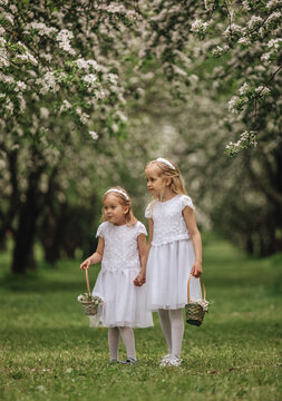 Spring blooming orchard scene with happy family children